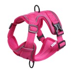 狗背带厂家-热销双层柔软可调反光网眼