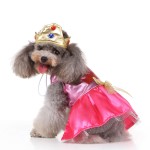 Dog Costume Factory - Halloween Christmas Wizard Dress Various Styles Cosplay