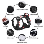 狗背带厂家-牛津布多功能防丢名牌反光