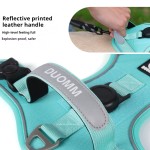 宠物背带厂家-热销豪华反光透气防爆冲皮革