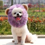 Pet Headgear Manufacturer - Hot-selling Cute Lion Transformation Maned Wig Hats