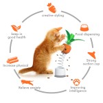 Cat Toy Supplier - Customizable Catnip Carrot-Shaped Interactive Puzzle Feeder