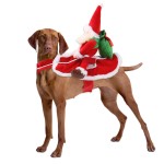 Pet Costume Factory - Cut Funny Transform Christmas Halloween Costume for Cats Dogs