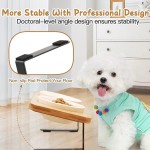 宠物碗厂家-环保可定制logo双不锈钢陶瓷