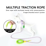 狗牵引绳厂家-优质尼龙3合1免提腰带肩带