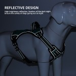 宠物背带厂家-厂家豪华运动反光带防爆冲功能