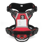 狗背带厂家-牛津布多功能防丢名牌反光