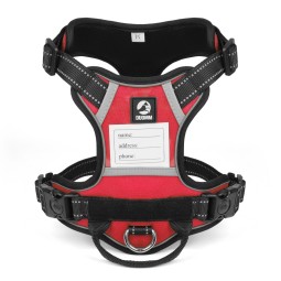 狗背带厂家-牛津布多功能防丢名牌反光