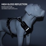 狗背带厂家-牛津布多功能防丢名牌反光