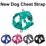 狗背带厂家-热销双层柔软可调反光网眼