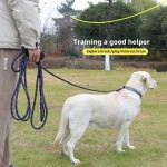 狗牵引绳厂家-热销轻量尼龙超长户外训练