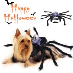 Pet Costume Supplier - Comfortable Polyester Bat Harness-style Halloween Winter