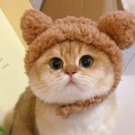 Pet Hats Manufacturer - Cute Funny Hot-selling Sunflower Headdresses Wigs Halloween