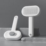 Pet Air Cushion Comb Manufacturer - Customizable Ergonomic Stainless Steel Multifunctional