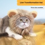 Pet Headgear Manufacturer - Hot-selling Cute Lion Transformation Maned Wig Hats