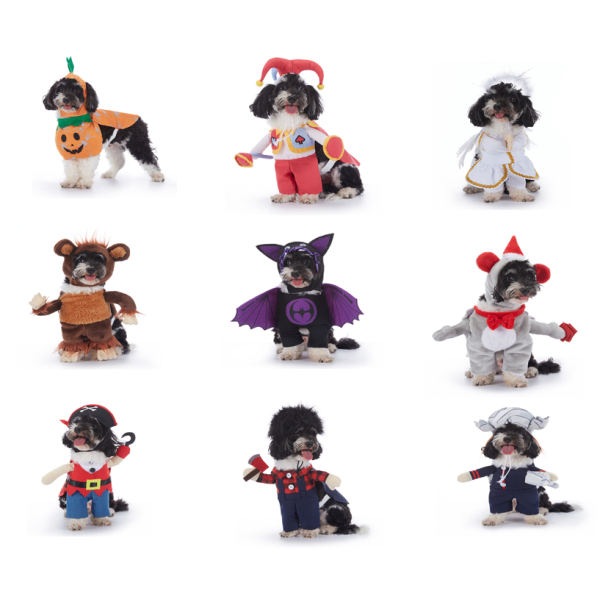 宠物衣服厂家-热销趣味万圣节蝙蝠南瓜圣诞可定制