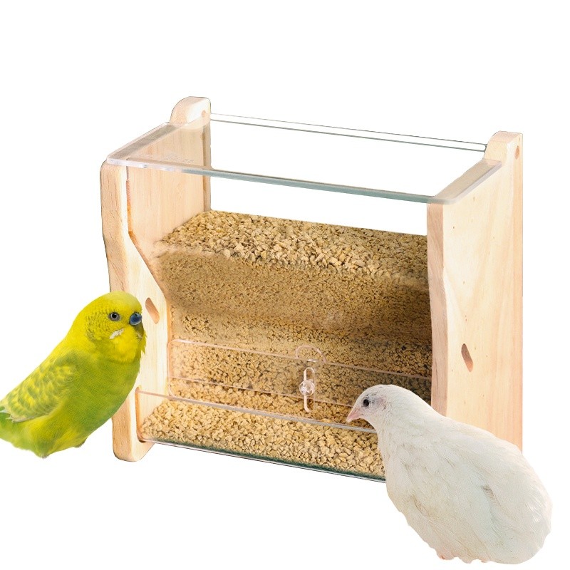 Parrot Food Feeder Factory - 2022 New Automatic Acrylic Bowls