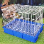 繁殖笼供应商-大型多层可移动拼接设计