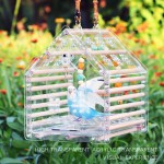 Bird Nest Supplier - Customized Acrylic Hanging Food Bowl