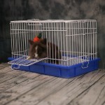 繁殖笼供应商-大型多层可移动拼接设计