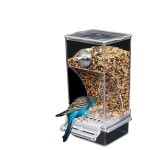 自动喂鸟器厂家-厂家亚克力金丝雀鹦鹉