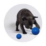 狗咬胶厂家-高品质互动牙齿健康天然橡胶耐用