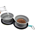 Pet Travel Bowls Manufacturer - Premium Eco-Friendly Foldable Double Silicone Food Bowls