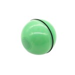 USB Pet Toy Manufacturer - Rechargeable LED Lights Smart Interactive Remote Control