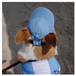 设计师狗帽厂家-豪华热销时尚品牌夏冬