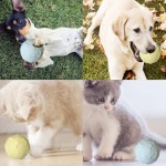 Indestructible Dog Toy Supplier - Best Seller Durable Strong Chew Rubber Tough TPR