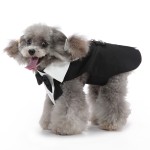 Dog Coats Supplier - New Design Popular Printed Polyester Summer Spring Winter