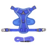 狗胸背带厂家-可调定制氯丁橡胶个性化尼龙升华