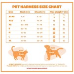 宠物背带套装厂家-7合1狗背带牵引绳印花猫项圈四季通用