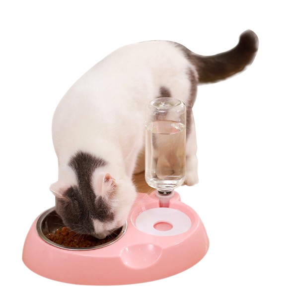 Automatic Cat Feeder Manufacturer - Hot Sale Eco-Friendly Stainless PC Small Animals