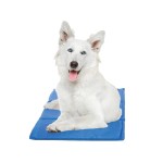 骨科狗床厂家-可定制靠垫毛绒泡沫沙发可拆可洗