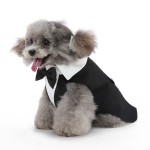 幼犬礼服厂家-批发豪华XS码聚酯毛绒婚礼季节