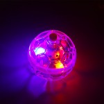 Cat Ball Toy Manufacturer - Direct Factory LED Motion Activated 5cm Rubber Interactive
