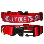 狗项圈厂家-高反光尼龙刺绣热销宠物牵引绳