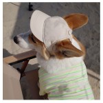 设计师狗帽厂家-豪华热销时尚品牌夏冬