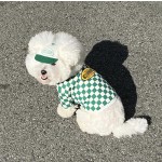 宠物运输背包厂家-便携轻量透气可折叠户外旅行