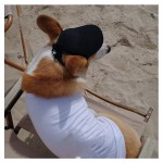 设计师狗帽厂家-豪华热销时尚品牌夏冬