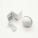 USB Pet Toy Manufacturer - Rechargeable LED Lights Smart Interactive Remote Control