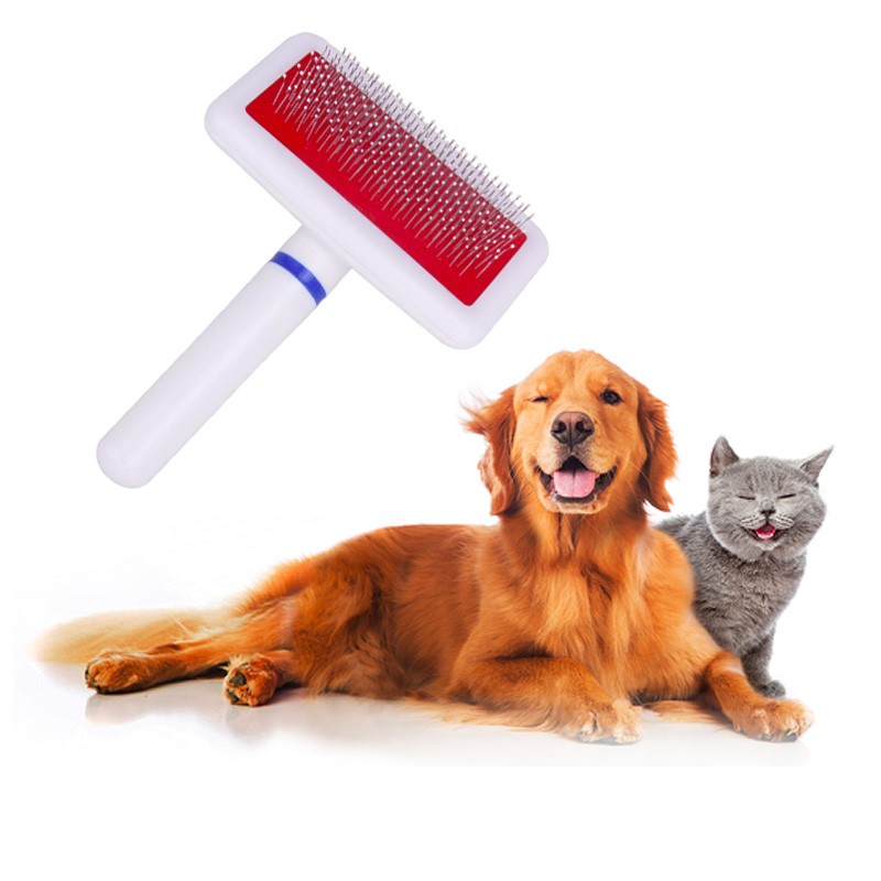 不锈钢宠物梳厂家-厂家直供金属梳刷美容