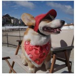 设计师狗帽厂家-豪华热销时尚品牌夏冬