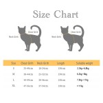 狗胸背带厂家-可调定制氯丁橡胶个性化尼龙升华