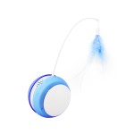 Pet Toy Factory - Wholesale Manufacturer's Interactive Simple Sport Style Cat Dog