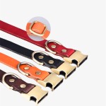 皮革狗项圈供应商-优质快释素色