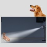 宠物牵引绳供应商-自动锁LED灯伸缩16英尺