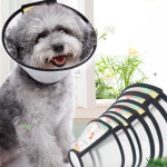 宠物伊丽莎白圈生产商-新款透明可调