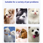 宠物鱼油供应商-促进亮毛护肤